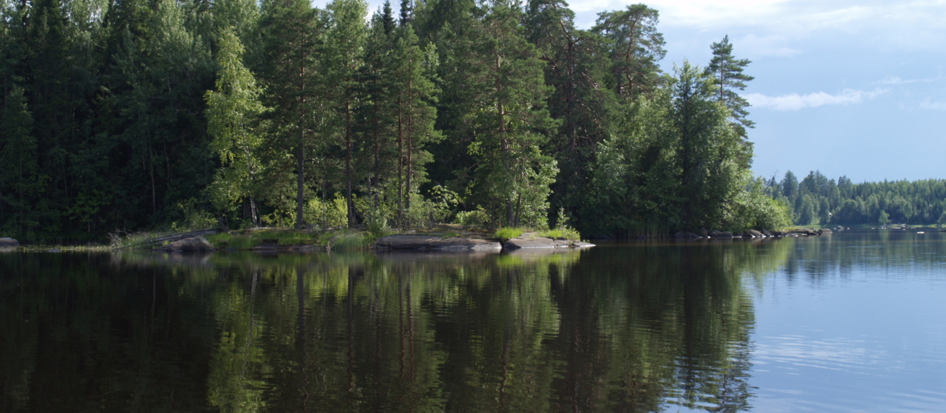 Heinijärvi